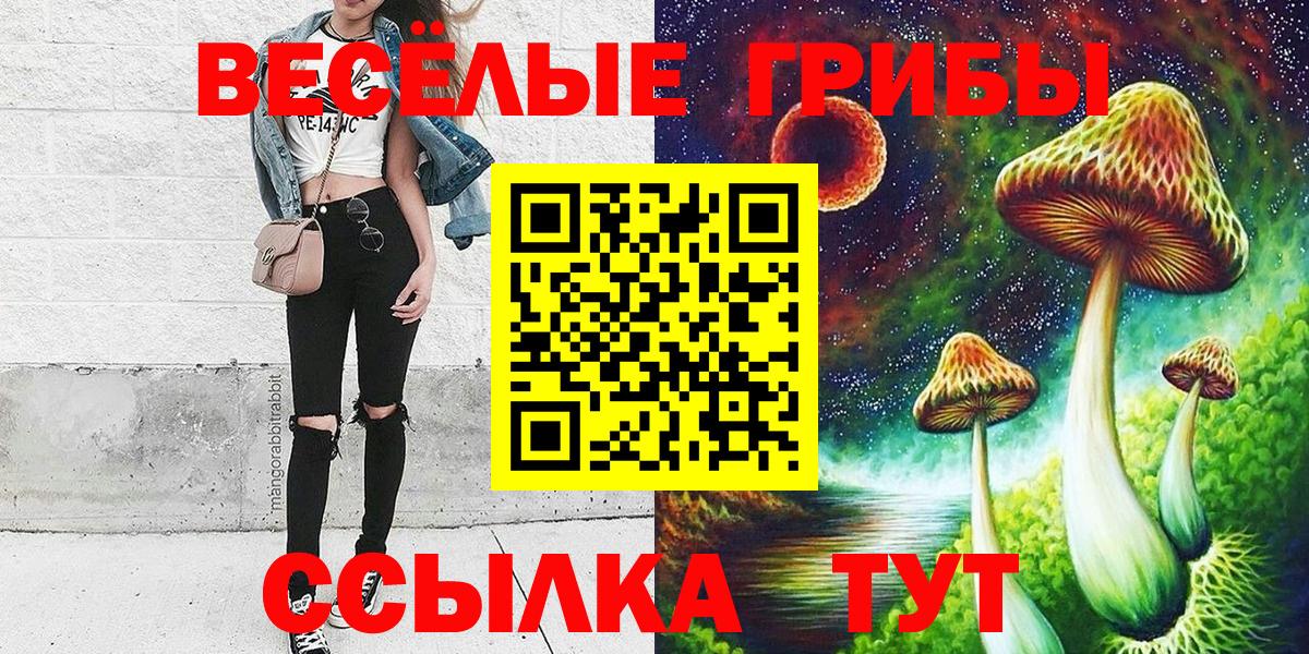 Галлюциногенные грибы Cubensis  Галлюциногенные грибы мицелий  Вход с VPN  Краснознаменск 